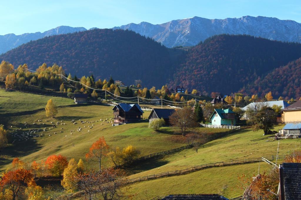 Hotel Garofita Pietrei Craiului Peştera Exterior foto